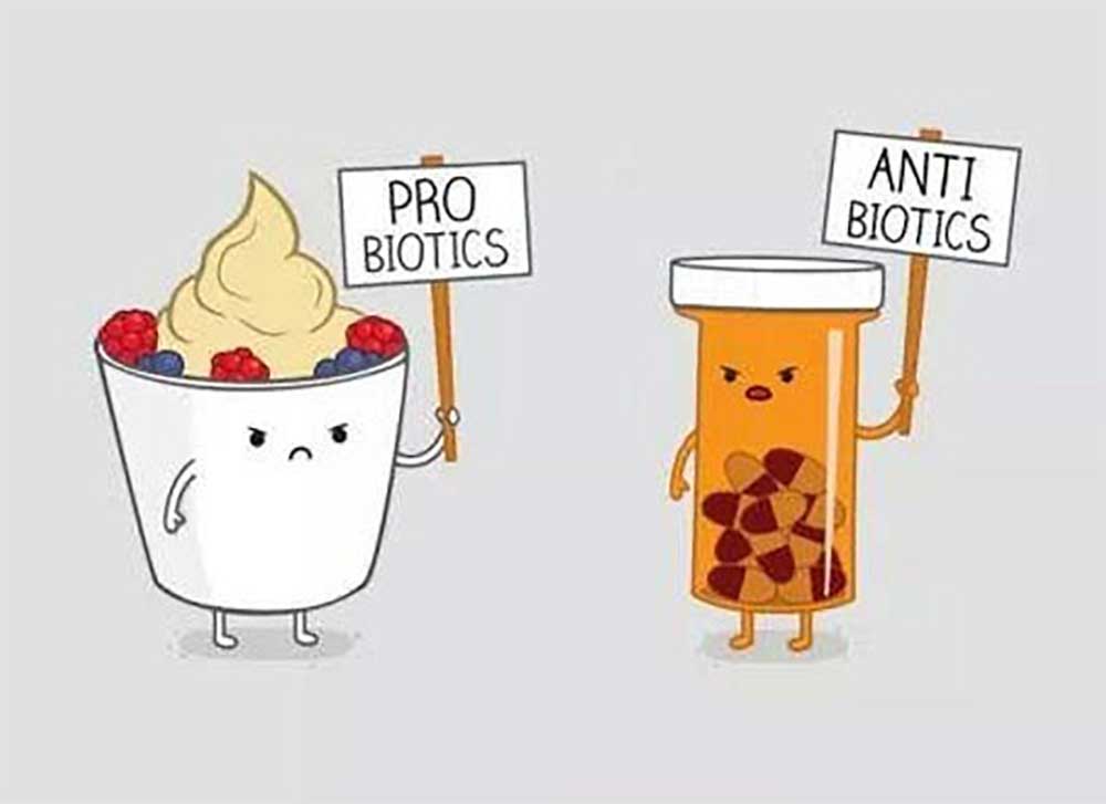 ضرورت پروبیوتیک ها